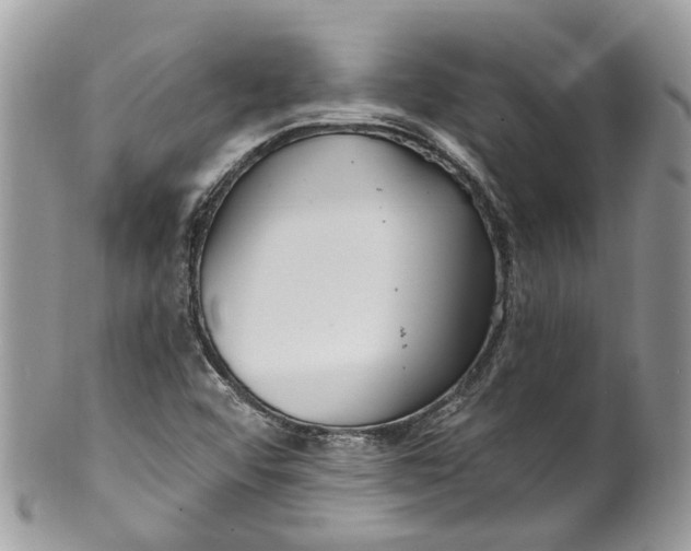 X0000099521456200806051159