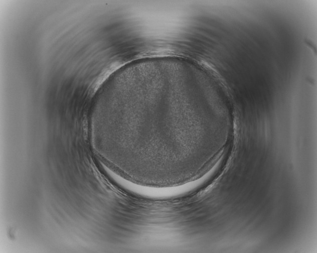 X0000099521457200806051159