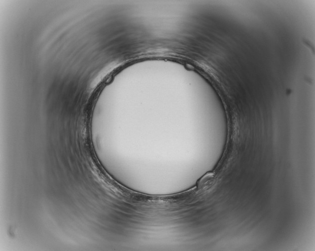 X0000099521458200806051159