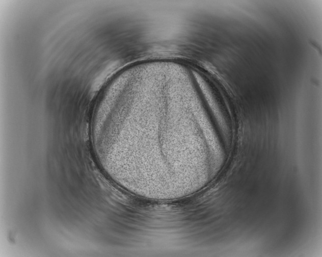 X0000099521459200806051159