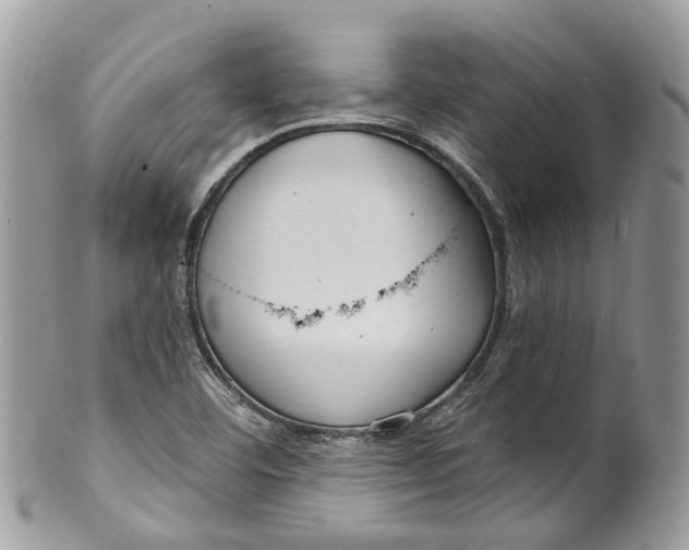 X0000099521460200806051159