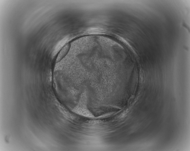 X0000099521461200806051159