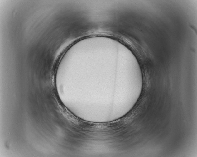 X0000099521462200806051159