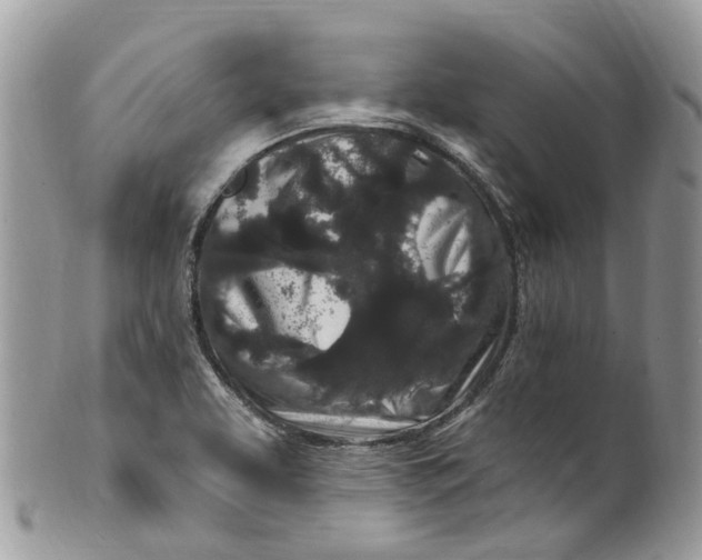 X0000099521463200806051159