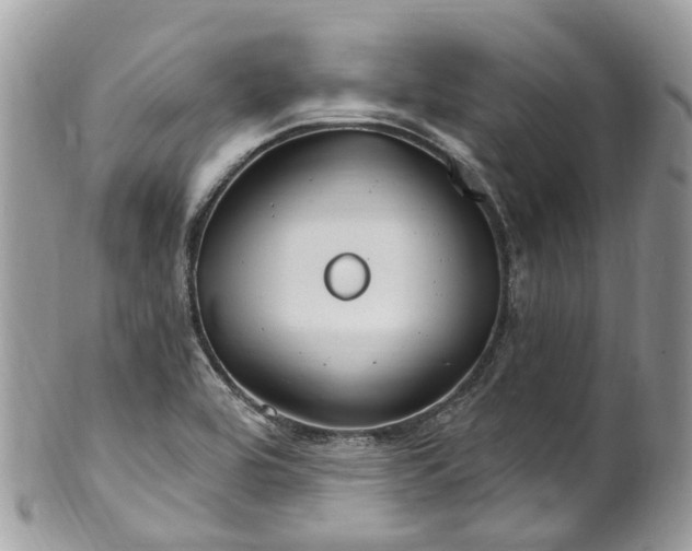 X0000099521464200806051159