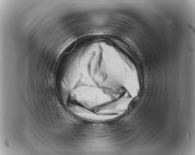 X0000099521465200806051159