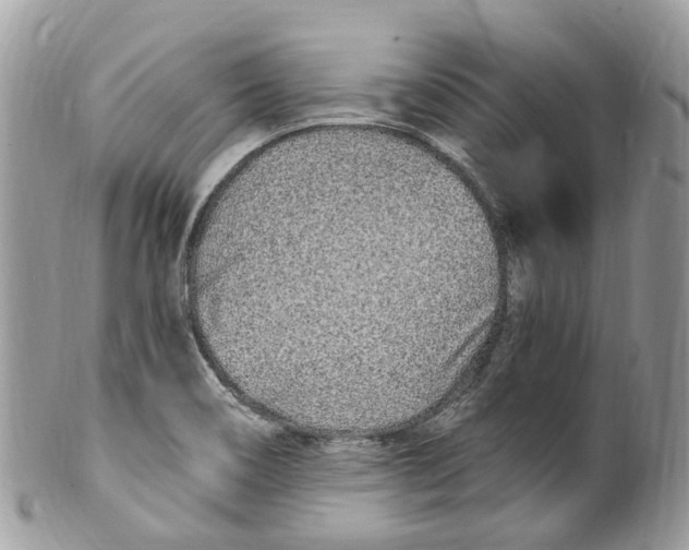 X0000099521466200806051159