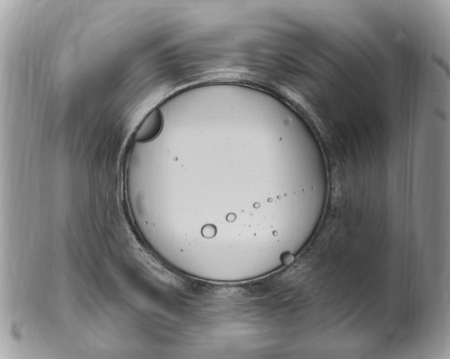 X0000099521467200806051159