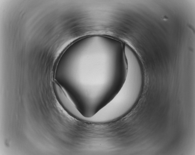 X0000099521468200806051159