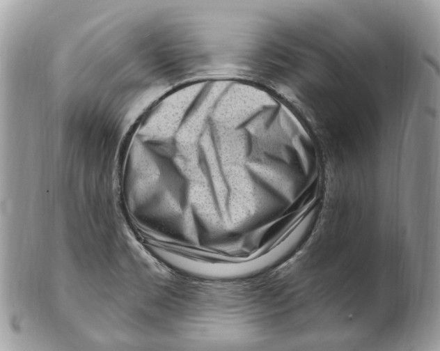 X0000099521469200806051159