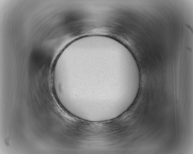 X0000099521470200806051159