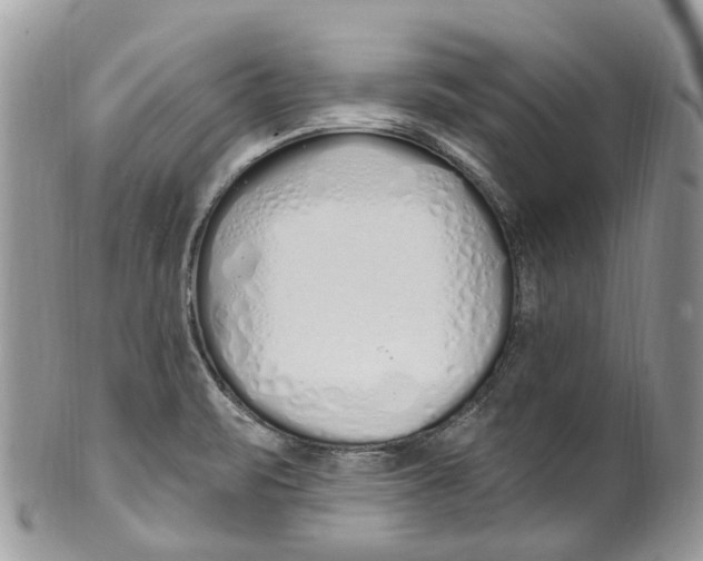 X0000099521471200806051159