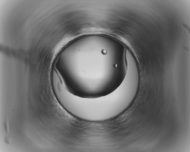 X0000099521472200806051159