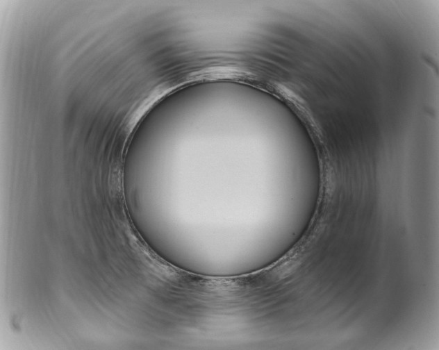 X0000099521473200806051159