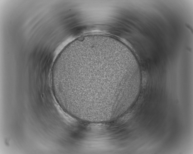 X0000099521474200806051159