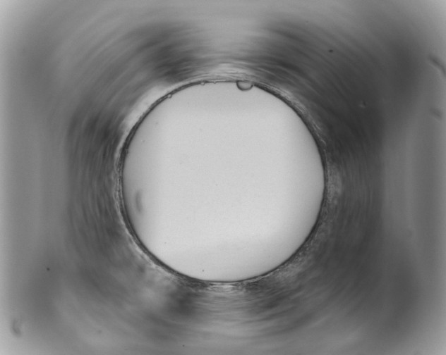 X0000099521478200806051159