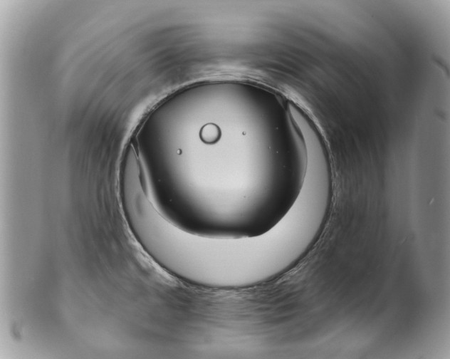 X0000099521480200806051159