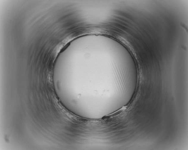 X0000099521481200806051159