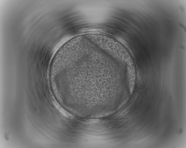 X0000099521482200806051159