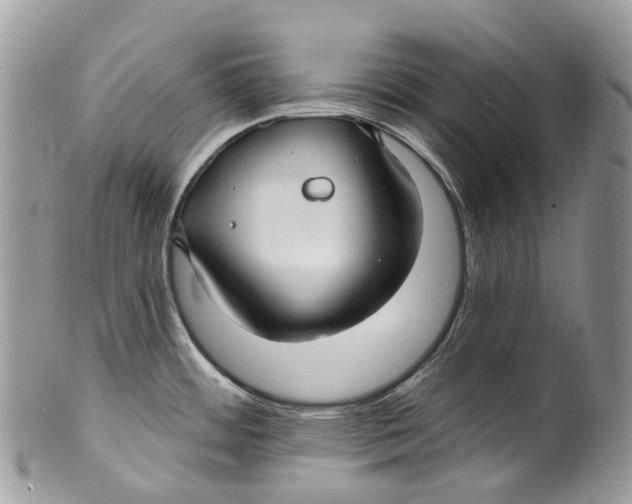 X0000099521484200806051159