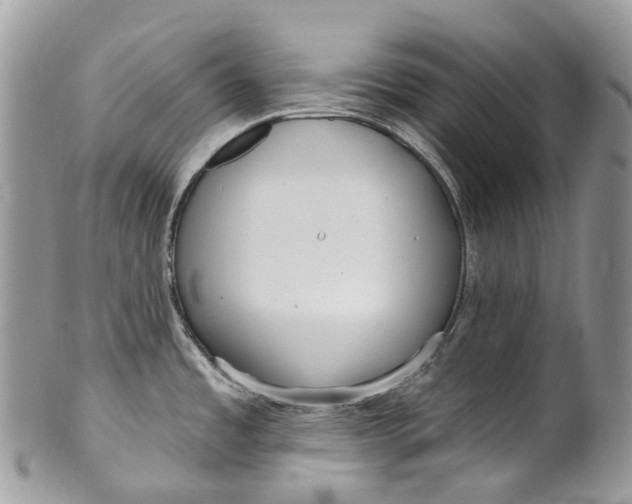 X0000099521485200806051159