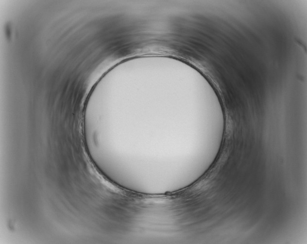 X0000099521486200806051159