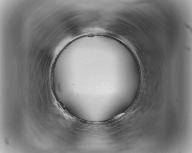 X0000099521488200806051159