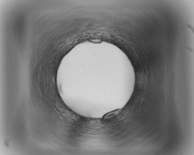 X0000099521489200806051158