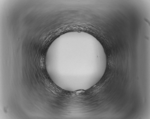 X0000099521490200806051158