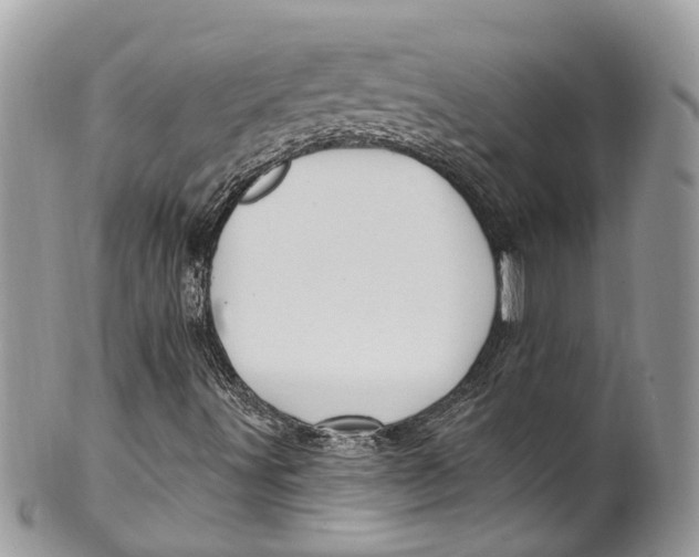 X0000099521491200806051158