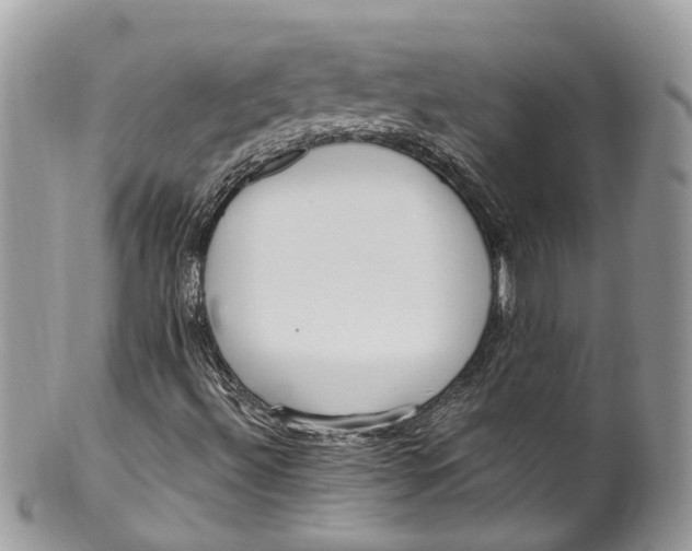 X0000099521492200806051158