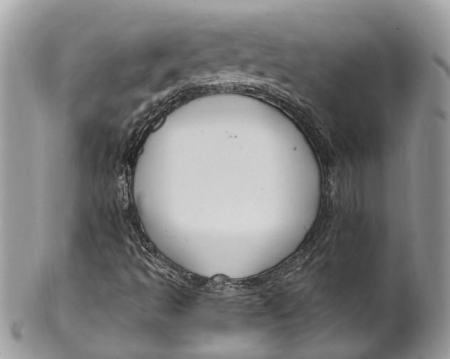 X0000099521493200806051158