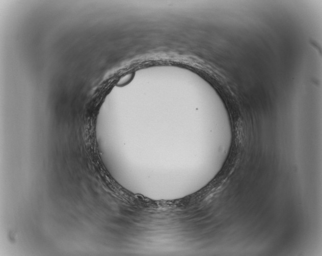 X0000099521494200806051158