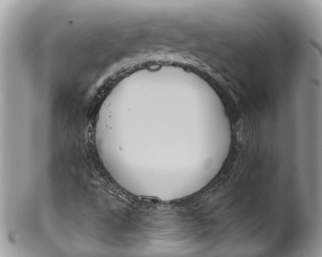 X0000099521495200806051158