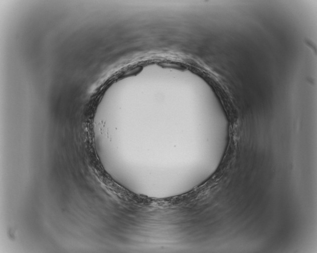 X0000099521496200806051158