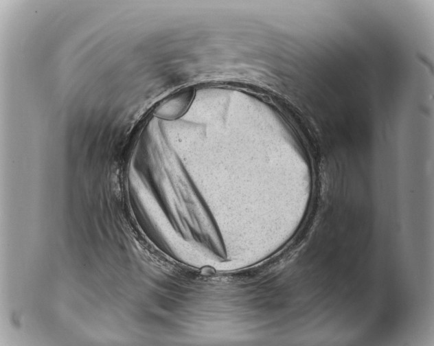 X0000099521497200806051158