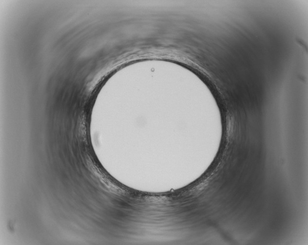 X0000099521498200806051158