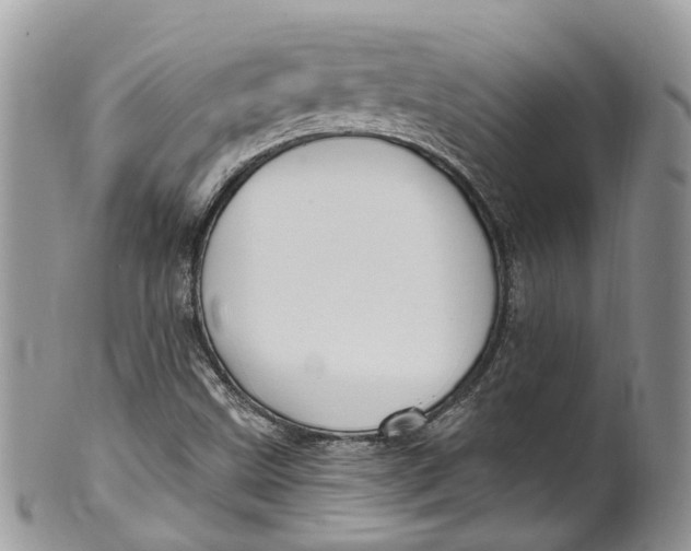 X0000099521499200806051158