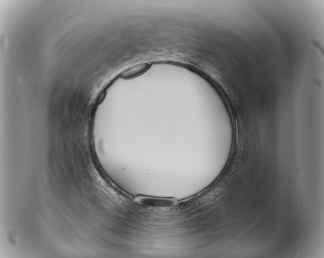 X0000099521500200806051158