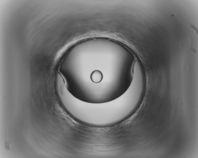 X0000099521502200806051158