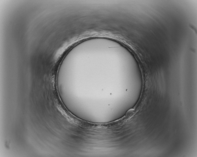 X0000099521503200806051158