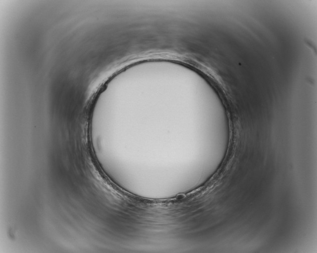 X0000099521504200806051158