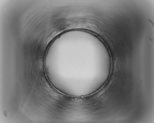 X0000099521505200806051158