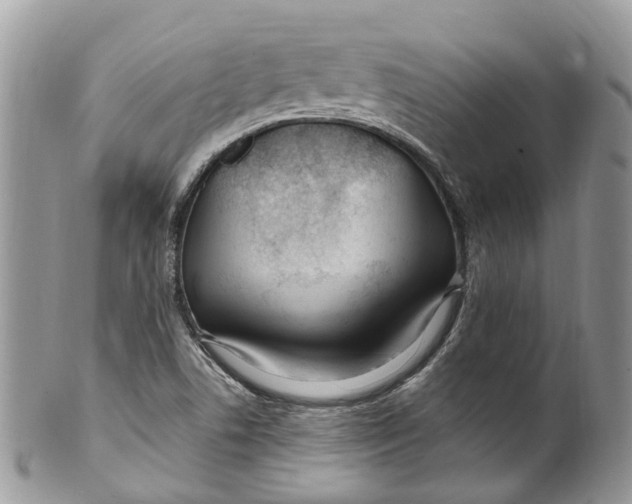 X0000099521506200806051158