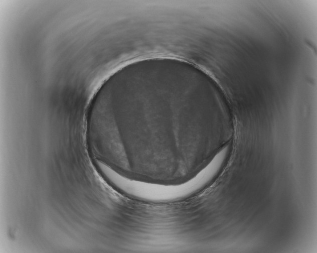 X0000099521508200806051158