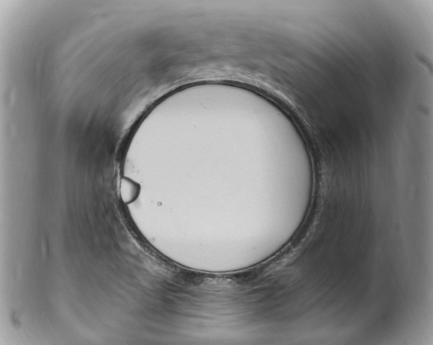 X0000099521509200806051158