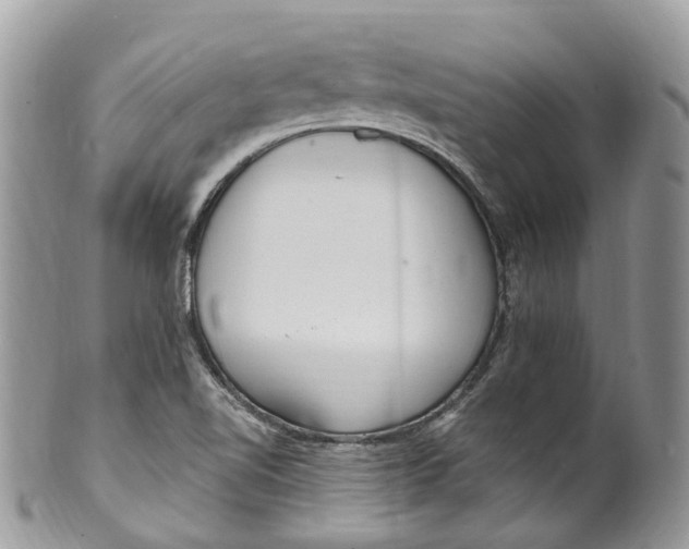 X0000099521510200806051158