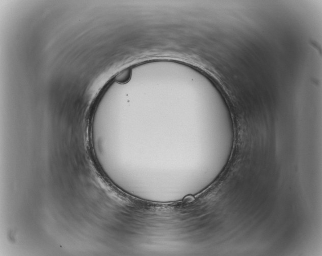 X0000099521511200806051158