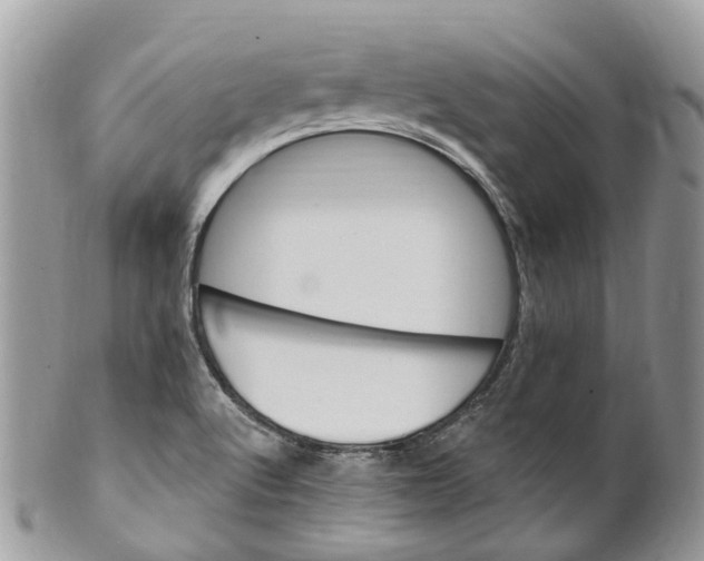 X0000099521512200806051158