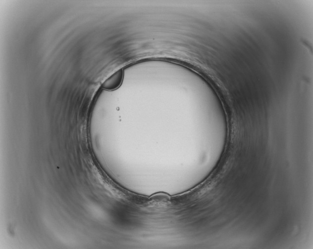 X0000099521513200806051158